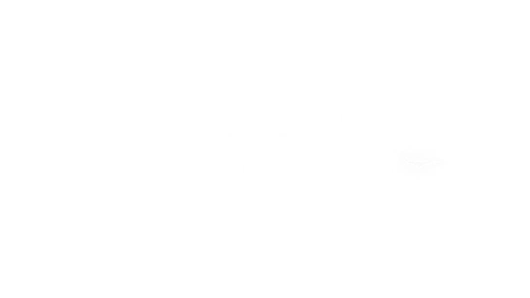 The Blind Forest logo